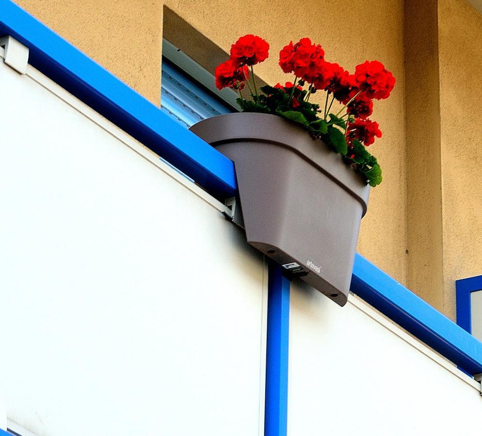 רימיני Residence Verbena מראה חיצוני תמונה